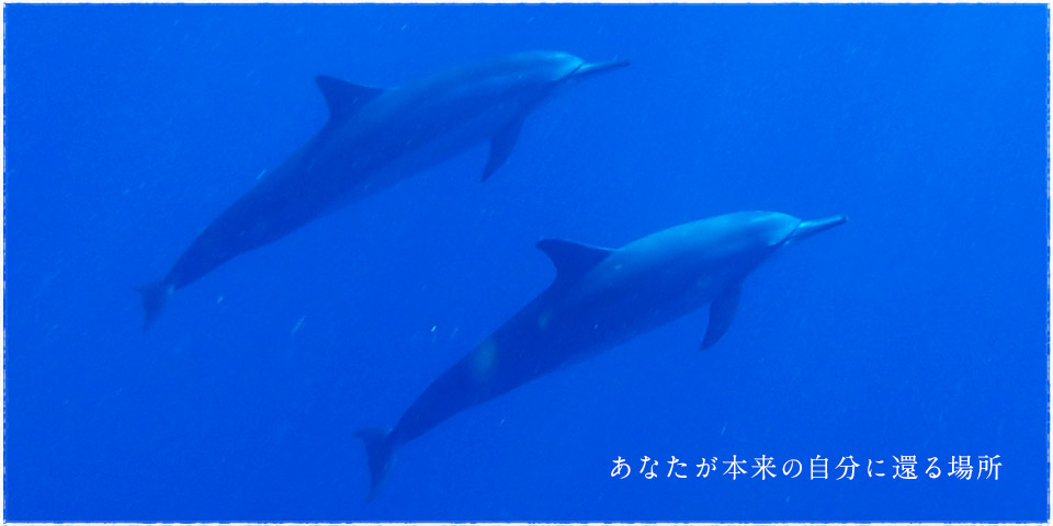 あなたが本来の自分に還る場所。ナイア ヒーリングサロン